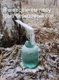 Ну и погодка!-gkxfs4jjql0.jpg