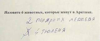 Повышатель настроения-2-tyulenya.jpg
