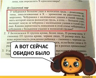 Повышатель настроения-img_0260.jpg
