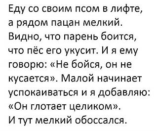 Повышатель настроения-img_0840.jpg
