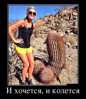 Повышатель настроения-imageg8axsg26.jpg