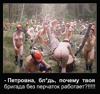 Пикчи на автомобильную тему-210291167_527998a0227dd272bdc5132d99b92697_800.jpg