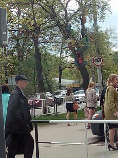 Повышатель настроения-img_20170606_124030.jpg