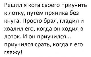 Братья наши меньшие-sjc5nzlywv4.jpg