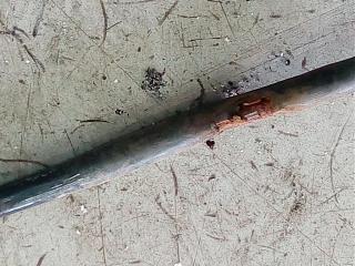 Ручник....-img_20170610_151553.jpg