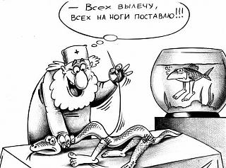 Черный юмор. Или не юмор.-18952603_10212261793407717_5393504681287017375_n.jpg