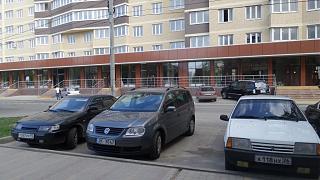 Встретил на дороге...-20170529_170257.jpg