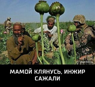 Повышатель настроения-19894554_2347687075455462_193259799931477489_n.jpg
