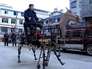 Пикчи на автомобильную тему-horse.jpg