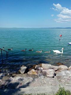 Санкт-Петербург-Хорватия-img_20170704_101505.jpg
