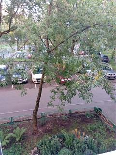 Платная парковка в центре больших городов-img_20170813_063729.jpg