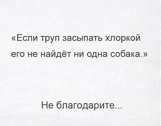 Черный юмор. Или не юмор.-21192012_1725812680783027_7666065850090764275_n.jpg
