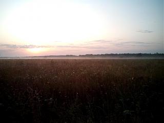 ДАЧА-img_20170821_054304.jpg