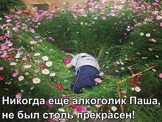 Повышатель настроения-21618039_2015037902083336_8812132241275592474_n.jpg