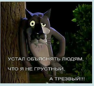 Афоризмы дня-22046685_281530969013170_8950399139030733847_n.jpg