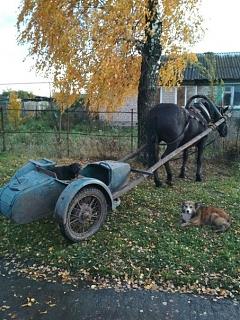 Пикчи на автомобильную тему-sutf4_9rdlw.jpg