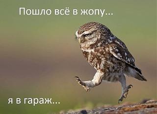 Повышатель настроения-garazh.jpg