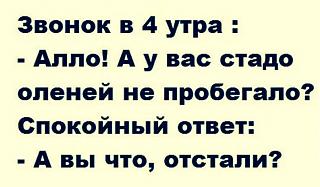 Повышатель настроения-image.jpg