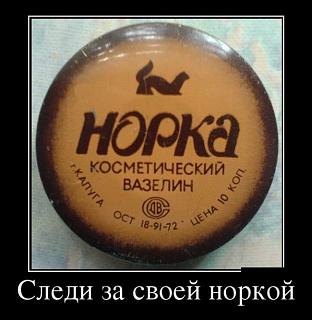 Повышатель настроения-norka.jpg