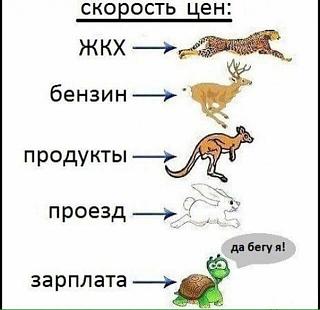 Черный юмор. Или не юмор.-15337655_152697468543667_32869342889721432_n.jpg