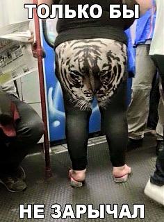 Повышатель настроения-tigr.jpg