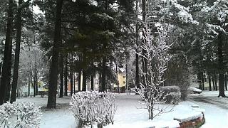Ну и погодка!-p_20171216_094337.jpg