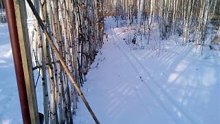 Ну и погодка!-img_20171217_125219.jpg
