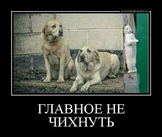 Повышатель настроения-1513755720_demotivatory-11.jpg