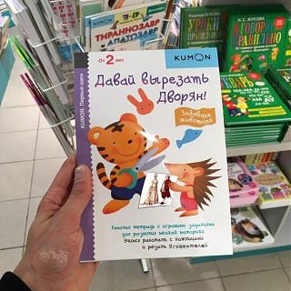 Повышатель настроения-kartinka.jpg