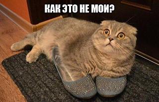 Повышатель настроения-25508153_883195728515596_8915034988245633561_n.jpg