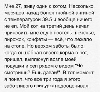Братья наши меньшие-25659368_1851257271571900_950589743191078305_n.jpg