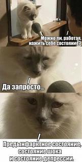 Повышатель настроения-kartinka.jpg