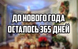Повышатель настроения-img-20180101-wa0051.jpg