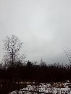 Ну и погодка!-img_20180105_125211.jpg