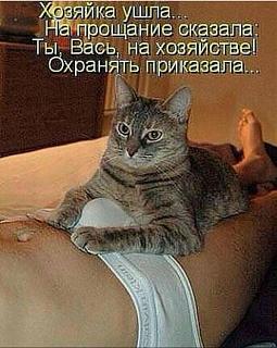 Повышатель настроения-26195562_388639221582747_8052484659553700420_n.jpg