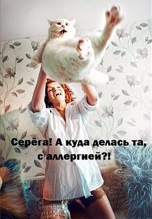 Повышатель настроения-2e347887-f12d-46a9-9e08