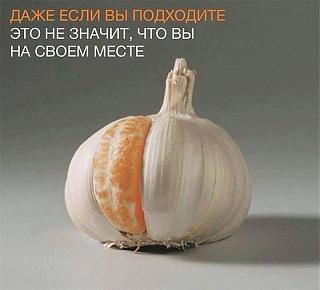 Повышатель настроения-26814510_747595865429051_208532001229301387_n.jpg