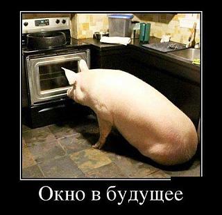 Повышатель настроения-26814522_1780194825384352_1470169552575018658_n.jpg