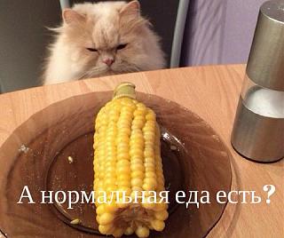 Повышатель настроения-27067432_1797576133646221_1809585887556024863_n.jpg