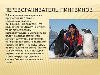 Ну и погодка!-27072651_1641257635968702_3804212811087450098_n.jpg