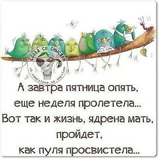 Кто как тЯпницу отмечает?-27337132_377144719416193_1101699215718900954_n.jpg