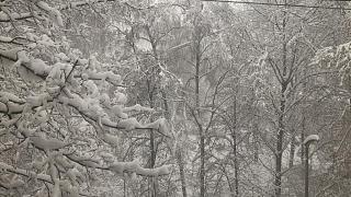 Ну и погодка!-p_20180204_132129-1-.jpg