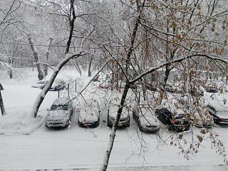 Ну и погодка!-img_20180204_132149.jpg