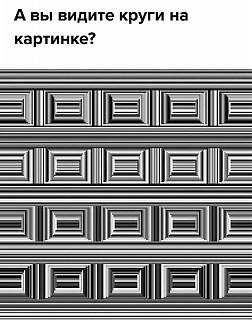 Просто прикольно-27544931_1788265961475537_612760870252046625_n.jpg