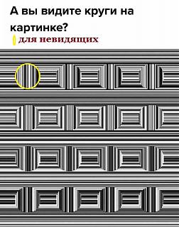 Просто прикольно-27752548_1960332780661532_8608620149832820734_n.jpg