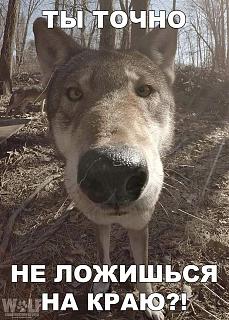 Повышатель настроения-27657452_1587917347991217_2509163075543462608_n.jpg