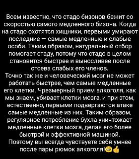 Водка-28058713_1654710157942682_8468420532238307195_n.jpg