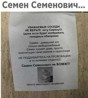 Братья наши меньшие-imagecp60fdut.jpg