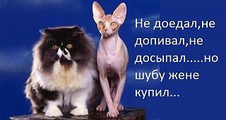 Братья наши меньшие-28166309_408708442909158_6109066998446714526_n.jpg