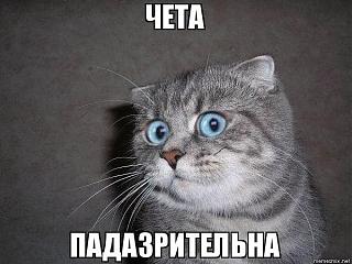 Повышатель настроения-28276287_10213203722420579_4232094456195618685_n.jpg